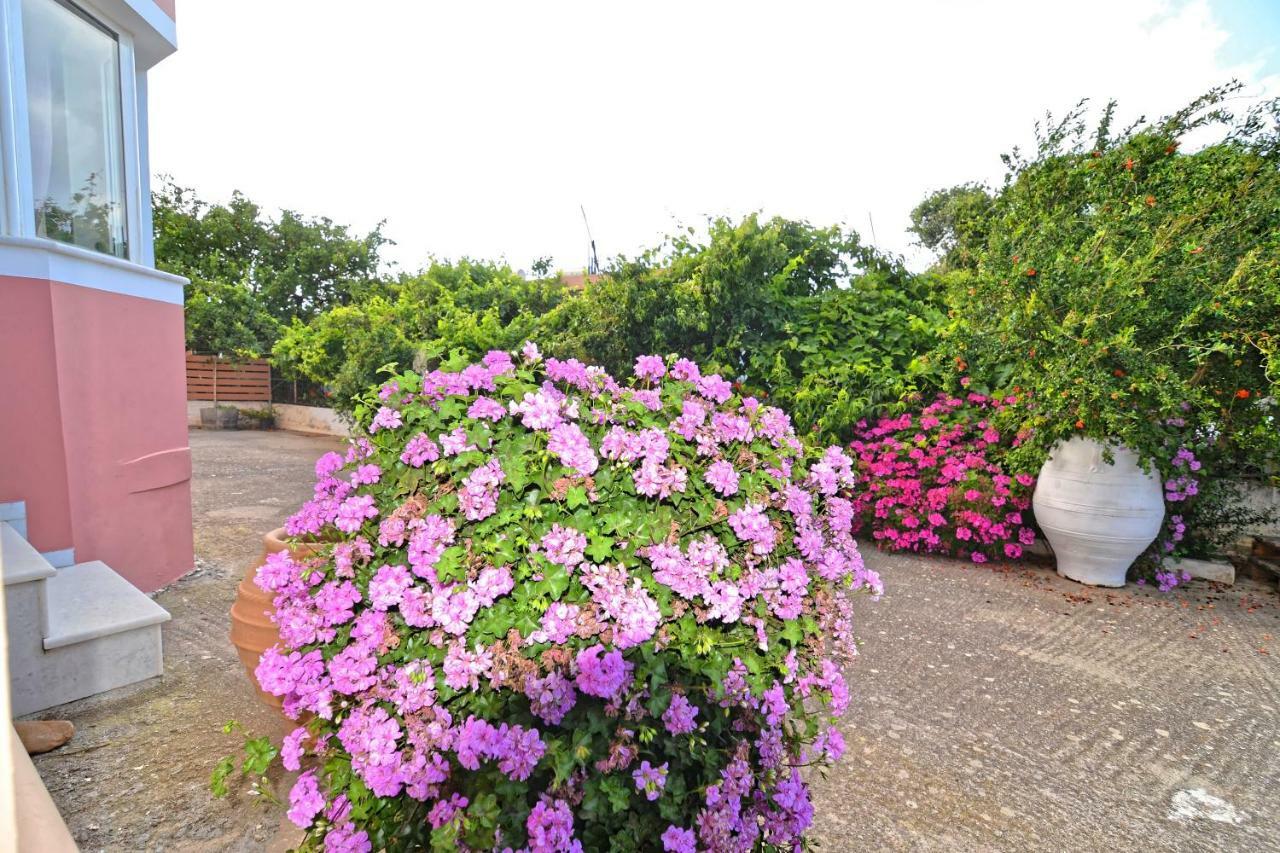 Kissamos Luxurious House Guest House ภายนอก รูปภาพ